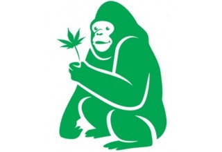 Green Gorilla