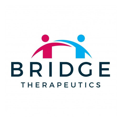 Dr. Jeffrey Fudin, a Leading Pain Researcher, Joins Bridge Therapeutics Advisory Board
