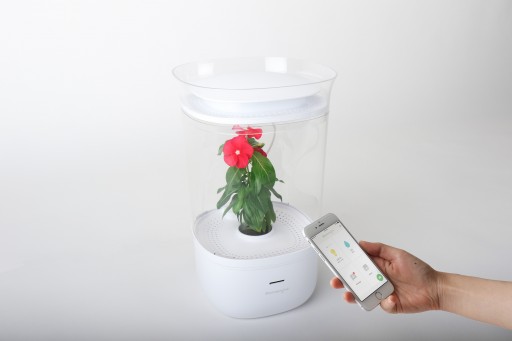 Bloomengine Taking Part in the Urban Gardening Revolution by Capturing 100 Percent Funding on Kickstarter in Four Days