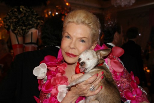 Tiny One-Eyed Chihuahua Attends Lois Pope's Lady in Red Gala as Special Guest