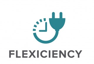 FLEXICIENCY