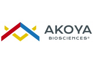 Akoya Logo