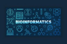 Bioinformatics Market