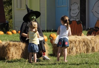 Pumpkin Patch at Texas State Railroad