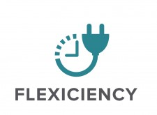 FLEXICIENCY