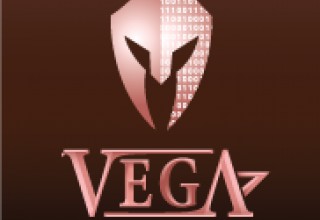 Arcturus Winner, Vega Digital Awards