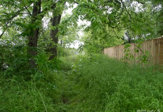 Hockley Family Cemetery