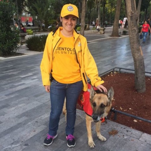 Canine Heroes Who Saved Lives in Mexico