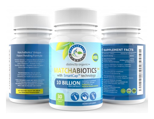 Probiotic Matcha Combination - MatchaBiotics