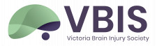 VBIS Official Logo