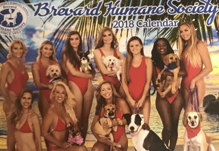 Baywatch PET Calendar 