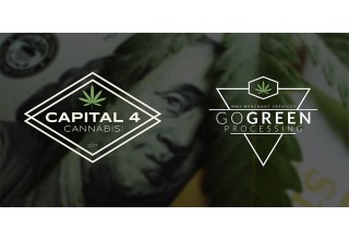 Go Green & Capital 4 Cannabis Banner