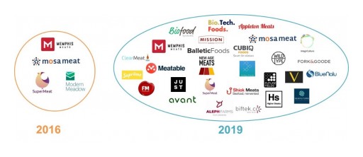 IDTechEx Research Asks, Cultured Meat: Just Around the Corner?