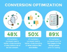 Survey Infographic