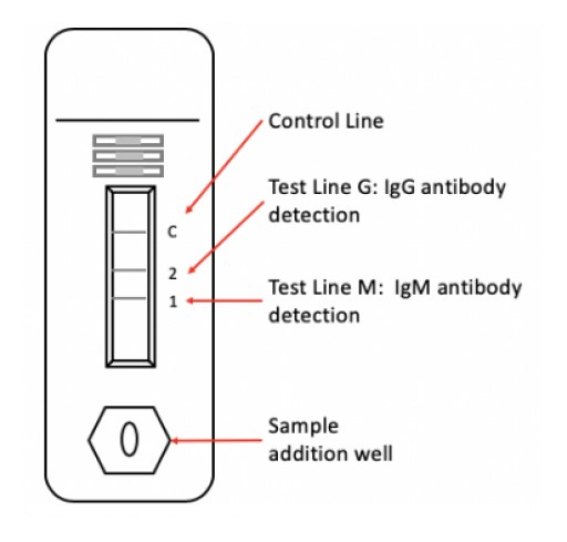 ZEUS SCIENTIFIC ANNOUNCES NEW RAPID SARS-CoV-2 ANTIBODY TEST