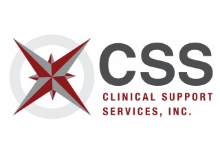 CSS Logo