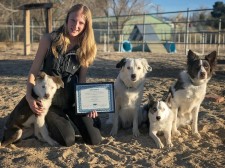 2017 National Dog Trainer of the Year Sara Carson