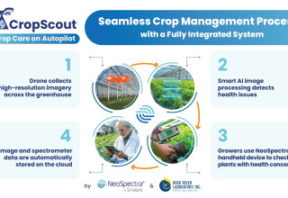 From Monitoring to Diagnosis - CropScout’s Integrated Technologies Deliver Seamless Experience