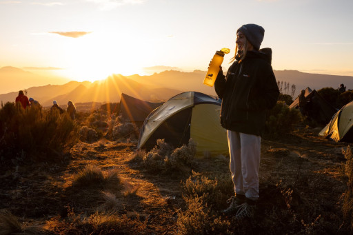 Altezza Travel Releases a 2024 Guide on Avoiding Crowds on Mount Kilimanjaro