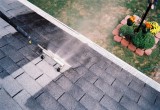 Roof Cleaning