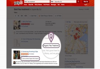 Enhance Yelp Display