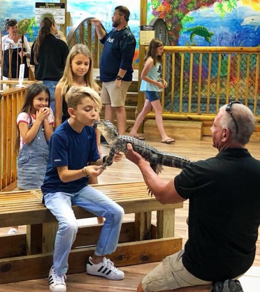 Alligator Attraction in Florida Earns Certified Autism Center™ Designation