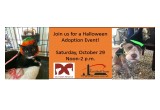 Keri Shull Team & DC Paws Rescue Host Halloween Pet Adoption Event  