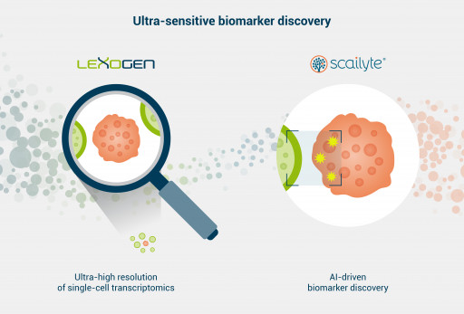 Scailyte and Lexogen Create a Joint Biomarker Discovery Workflow for Precision Medicine Companies