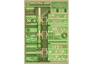 50,000 Practical Uses of Industrial Hemp