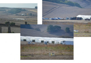 Scale of multi-tenant farms that are avoiding CEQA