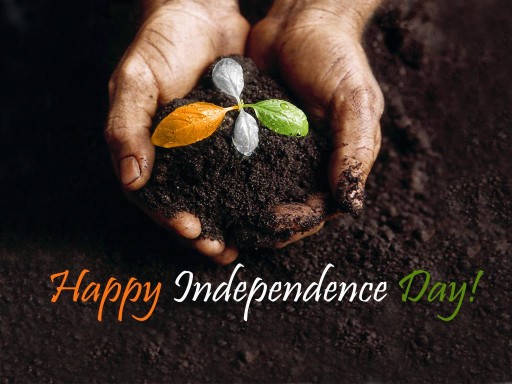 69% Off on 69th Independence Day Celebration