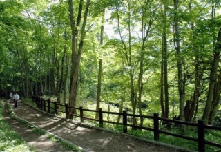 Bokke Nature Trail