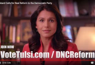 Tulsi Gabbard DNC Reform