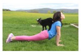 Gilbertsville Farmhouse - Goat Yoga