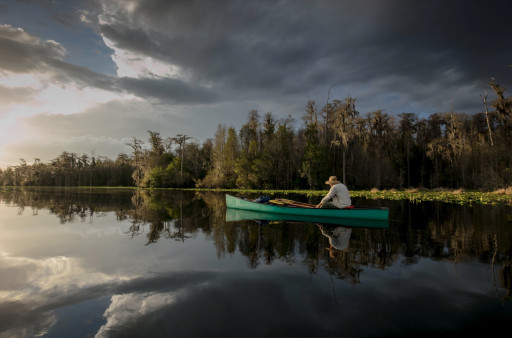 Live Wildly Explores the Okefenokee Swamp to Discover Natural Connections Between Wildlife, Places, and People