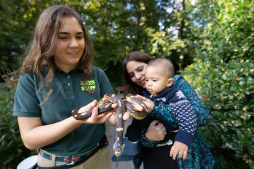 Woodland Park Zoo Awarded Transformative Grant to Advance Empathy for Animals