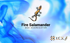 Fire Salamander by LCX