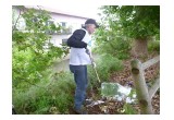 The volunteers collected up mounds of dead leaves and trash.