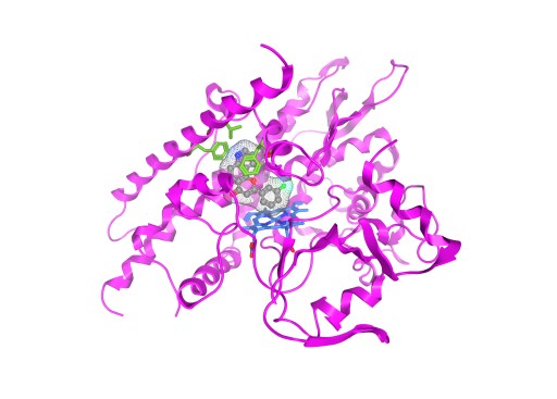 RxCelerate Acquires Cutting-Edge Molecular Modelling Company Prosarix