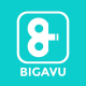 BIGaVu