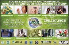 Miami Mold Specialists