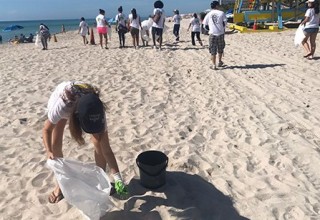 Beach cleanup