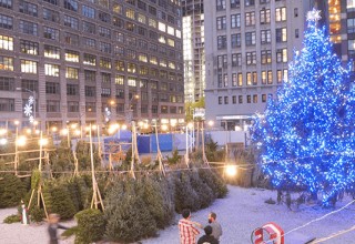 Christmas Tree at Sundown