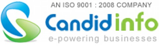 Candidinfo Offers the Best SEO Outsourcing Services in India