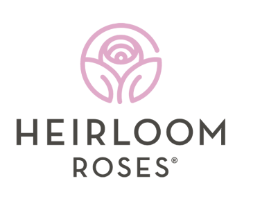 Heirloom Roses