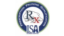 Prescription Pruning Qualification