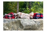 Brie & Vessie Flannel Scavres