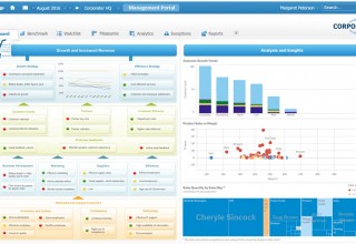 Business Intelligence and Analytics