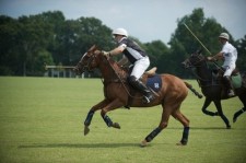 Polo Match