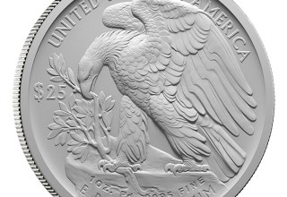 Palladium Eagle Reverse